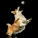 Profile Picture of Yooko Ishikawa (@yookoishikawa) on Instagram