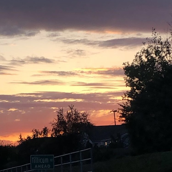 Profile Picture of Aoife Macmullan (@aoifemac27) on Poshmark