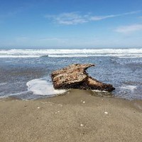 Profile Picture of David Arscott (@david-arscott-5) on Quora