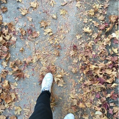 Profile Picture of Cory Yu (@coryYu1103) on Twitter