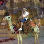 Profile Picture of Asim Haque (@asim.haque) on Instagram