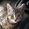 Profile Picture of Adrian Unger (@@adrian.u1708) on Tiktok