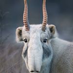 Profile Picture of Michael Mellenthin (@michael.mellenthin.3) on Instagram