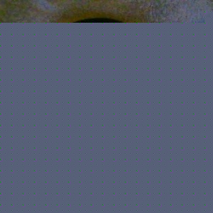 Profile Picture of John Trofa (@johnnyt101) on Myspace