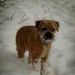 Profile Picture of Pauline Simmonds (@pauline0861) on Pinterest