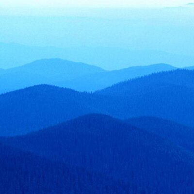 Profile Picture of David LaSalle (@CheapUsedCarMan) on Twitter