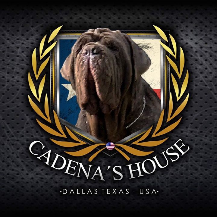 Profile Picture of Raul Cadena (@cadenashouse) on Tiktok