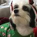 Profile Picture of Emmett Scott (@emmett.scott.161) on Facebook