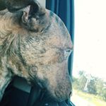 Profile Picture of Mark Carstens (@mark.carstens.3) on Instagram