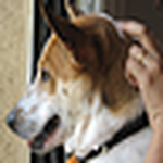Profile Picture of Maya Menon (@maya menon) on Flickr