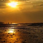 Profile Picture of david_rhodes56 (@david_rhodes56) on Instagram