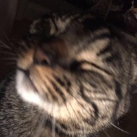 Profile Picture of Jenna Ramsay (@jenna-ramsay-7) on Quora