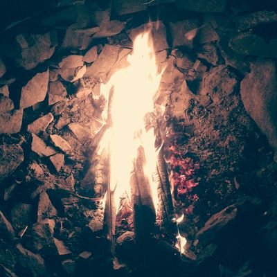 Profile Picture of Dan Bordon (@Danbordon3) on Twitter