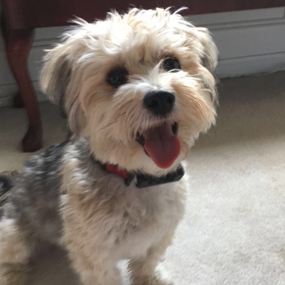 Profile Picture of Kathryn Urschler (@kkursch) on Poshmark