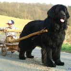 Profile Picture of Bernard Aude (@bernard.aude.9) on Facebook