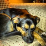 Profile Picture of Paula (@paulasartorius) on Instagram