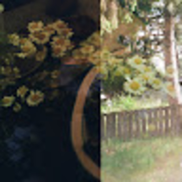 Profile Picture of Clara Burros (@claraburros) on Poshmark