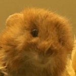 Profile Picture of Kyler Hillis (@kyler.hillis) on Instagram