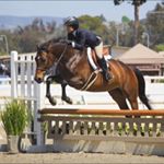 Profile Picture of Tony Jr Pecorella (@tonyjrpecorella) on Instagram