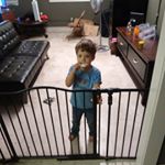 steve laird - Instagram Profile Picture of steve laird (@zamphire8) on Instagram