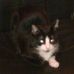 Profile Picture of Arnold Erdmann (@arnold.erdmann.5) on Facebook