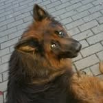 Profile Picture of Michael Ragus (@ragus_michael) on Instagram