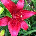 Profile Picture of Lisa Marazzo (@montym00) on Instagram