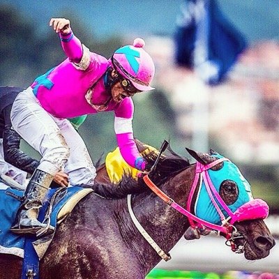 Profile Picture of José F. D'Angelo (@DangeloStable) on Twitter