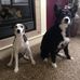 Profile Picture of Frank Barnes (@frank.barnes.14606) on Facebook