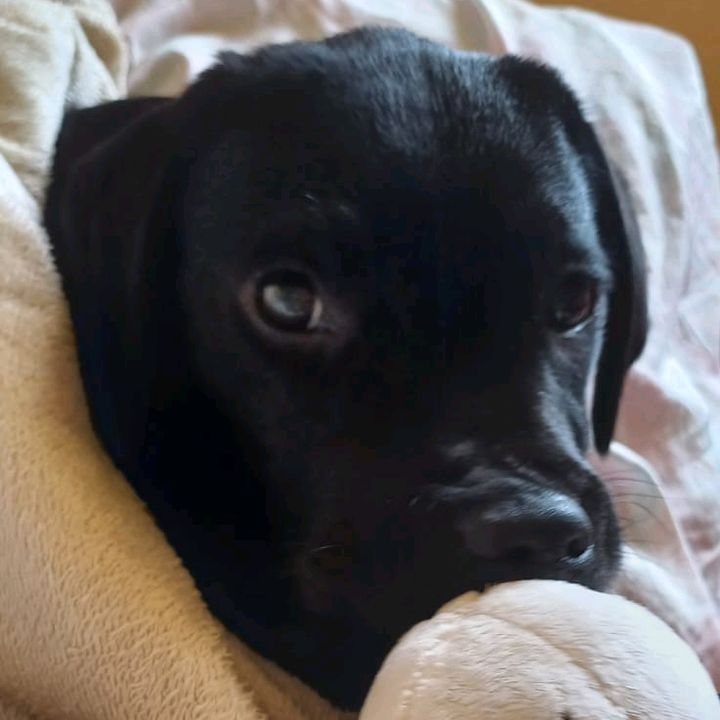 Profile Picture of michaelpiazzi (@michaelpiazzi) on Tiktok