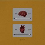 Profile Picture of Augsburg/63 (@david.duso) on Instagram