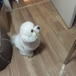 Profile Picture of Dylan Zhao (@dylan.zzzzzz) on Instagram