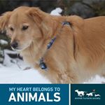 Profile Picture of Jodi McClain (@jodi9mcc) on Instagram