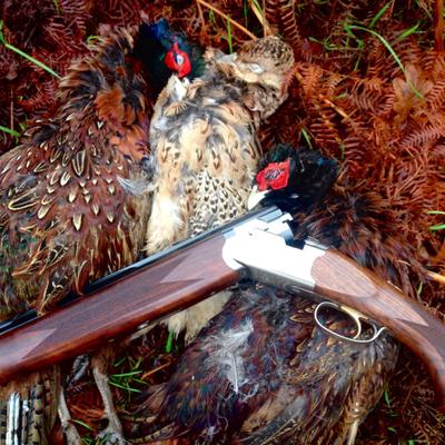 Profile Picture of Anthony Flinn (@AnthonyJFlinn) on Twitter
