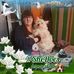 Profile Picture of Sharon Hayden (@sharon.hayden.940) on Facebook