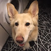 Derek Gaffney - Quora Profile Picture of Derek Gaffney (@derek-gaffney-10) on Quora