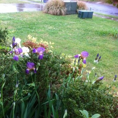 Profile Picture of Elizabeth Appling (@@applingliz) on Twitter