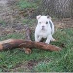 Profile Picture of randy tull (@randytull) on Instagram