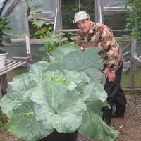 Profile Picture of James Osmond (@james-osmond-16) on Quora