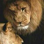 Profile Picture of Trent Shorter (@trentshorter) on Instagram