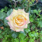 Profile Picture of Hillary Johnson (@hillary.johnson.924826) on Facebook