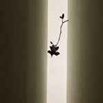 Profile Picture of Wang di di (@leowg422) on Instagram