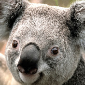 Profile Picture of Julia Potapova (@juliapotapova7422) on Youtube