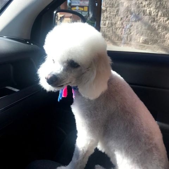 Profile Picture of Rodriguez Betsy (@familyalmaraz) on Poshmark