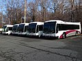 Profile Picture of Williamsburg Area Transit Authorityon Wikipedia
