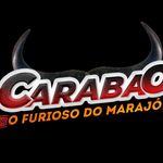 Carabao o Furioso do Marajo (oficial) - Instagram Profile Picture of Carabao o Furioso do Marajo (oficial) (@carabao_o_furioso_do_marajo) on Instagram