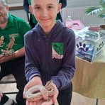 Profile Picture of Benjamin Kristó (@Benjamin-Kristó) on Facebook