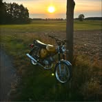 Profile Picture of Hannes Nickel (@Hannes-Nickel) on Facebook