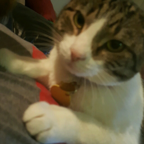 Profile Picture of Thomas Bierfreund (@emilyskin) on Poshmark