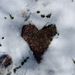 Profile Picture of Lori Vincent (@lorivincent65) on Pinterest